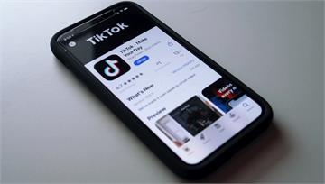 TikTok傳透過公關公司遊說立委求「公平待遇」...