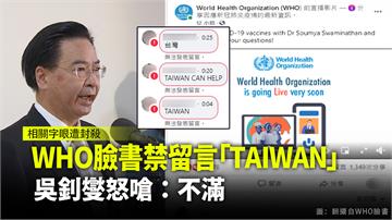 WHO臉書禁留言「Taiwan」 吳釗燮嗆：不滿...