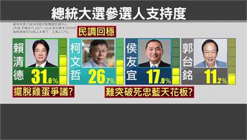 總統大選支持度 賴31.6%領先、柯26.7%居...