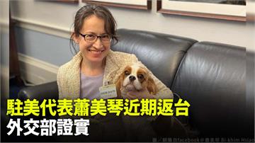 外交部證實 駐美代表蕭美琴近期將返台