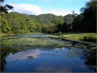 避免跨縣市移動　福山植物園休園至7/26