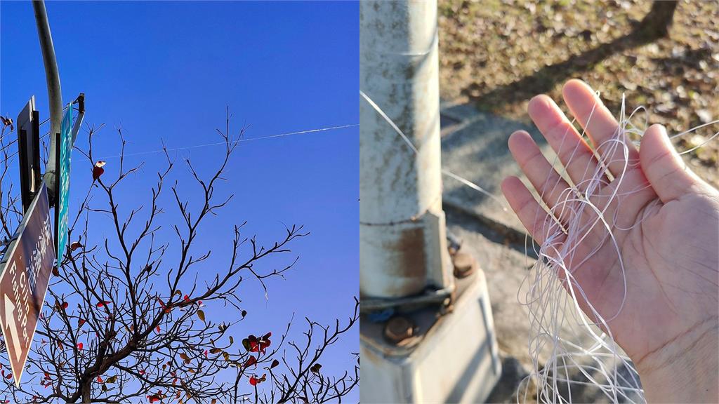 當事人PO出風車公園裡風箏線的照片。圖／翻攝自爆料公社