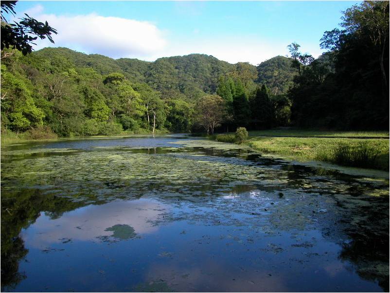 福山植物園配合宜蘭縣政府防疫政策，持續休園至7/26。圖／翻攝自福山植物園官網