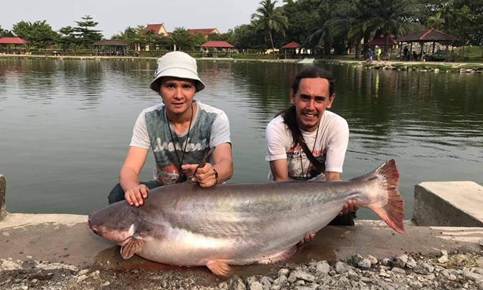 Jangan Jadi Kaki Kolam Kalau Tak Tau Istilah Patin Ini