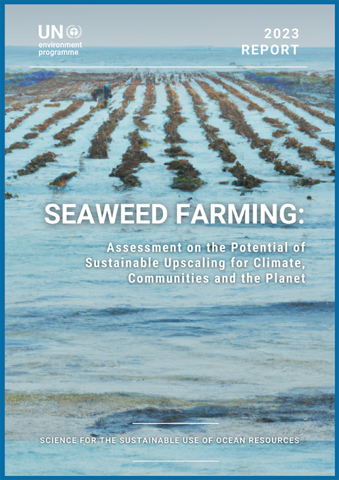 Seaweed report Cvr