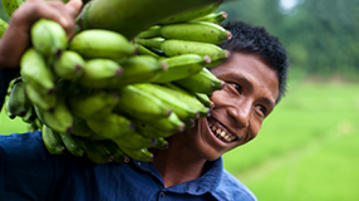 Banana Farmer