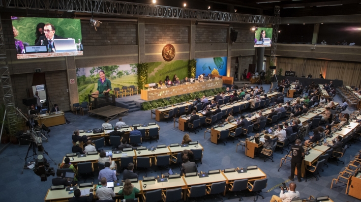 Delegados em discussão na sala de conferências da Assembleia das Nações Unidas para o Meio Ambiente