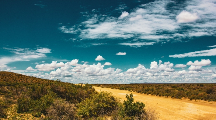 A dirt road surrounded by trees and bushes