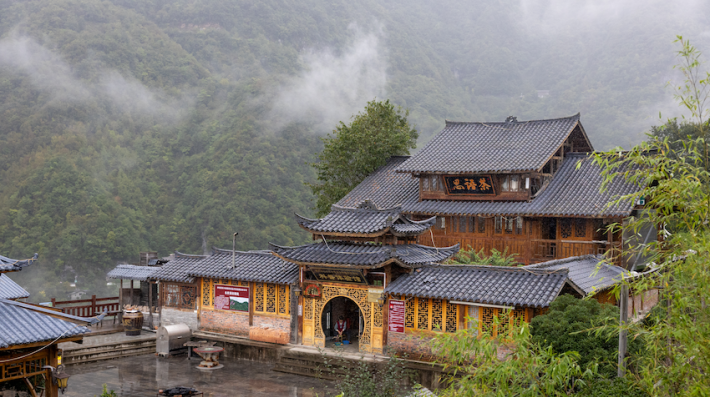 A tea factory nestled in Shennonjia Park