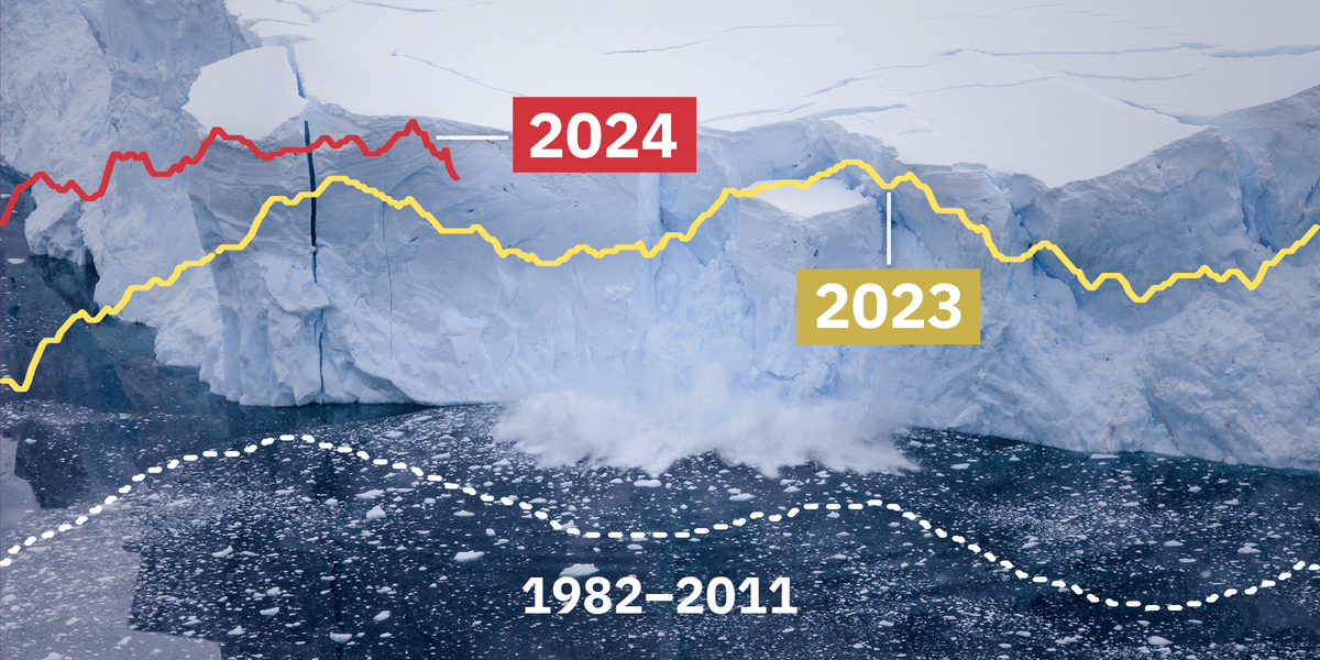 2024 sprengt alle Klima­rekorde – wie geht es weiter? 