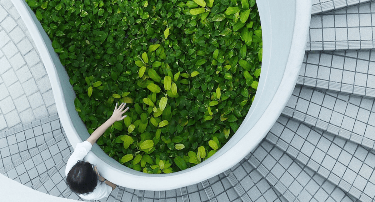 Vue d'un bâtiment moderne avec plusieurs niveaux de terrasses, entouré de verdure et d'arbres.