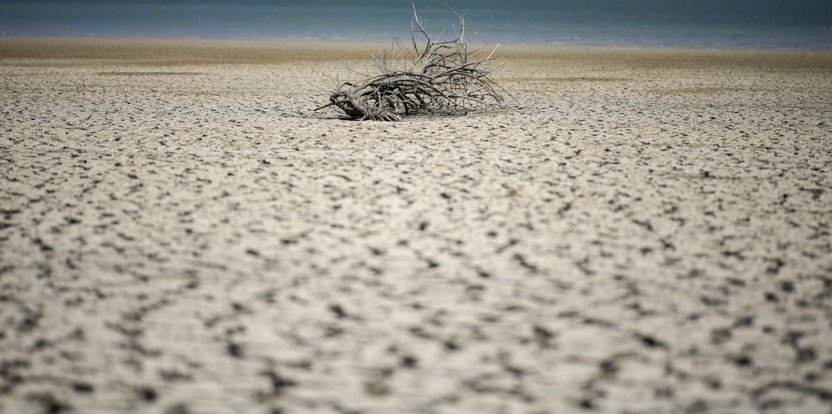 Fanaco Lake that provides water to a vast part of southern Sicily, including the city of Agrigento, shows the extremely low level of it's water after a winter with very scarce precipitations, in Castronovo di Sicilia, central Sicily, Italy, Wednesday, July 17, 2024. (AP Photo/Andrew Medichini)