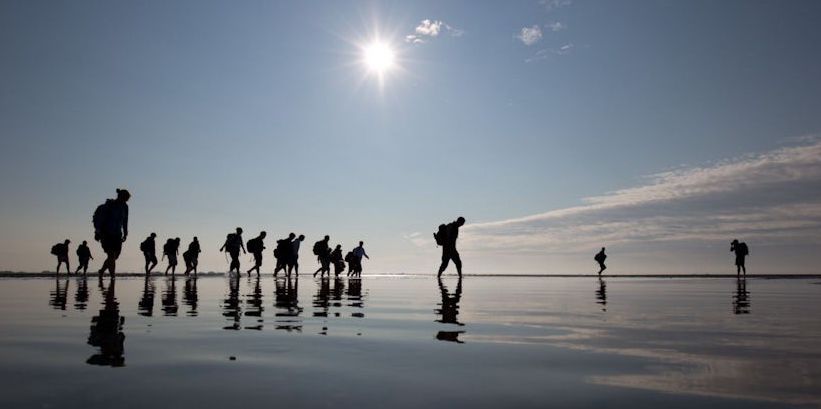 Wird dem Wattenmeer der Weltnaturerbe-Status aberkannt? 