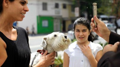 Dia De San Francisco De Asis Bendicen Animales