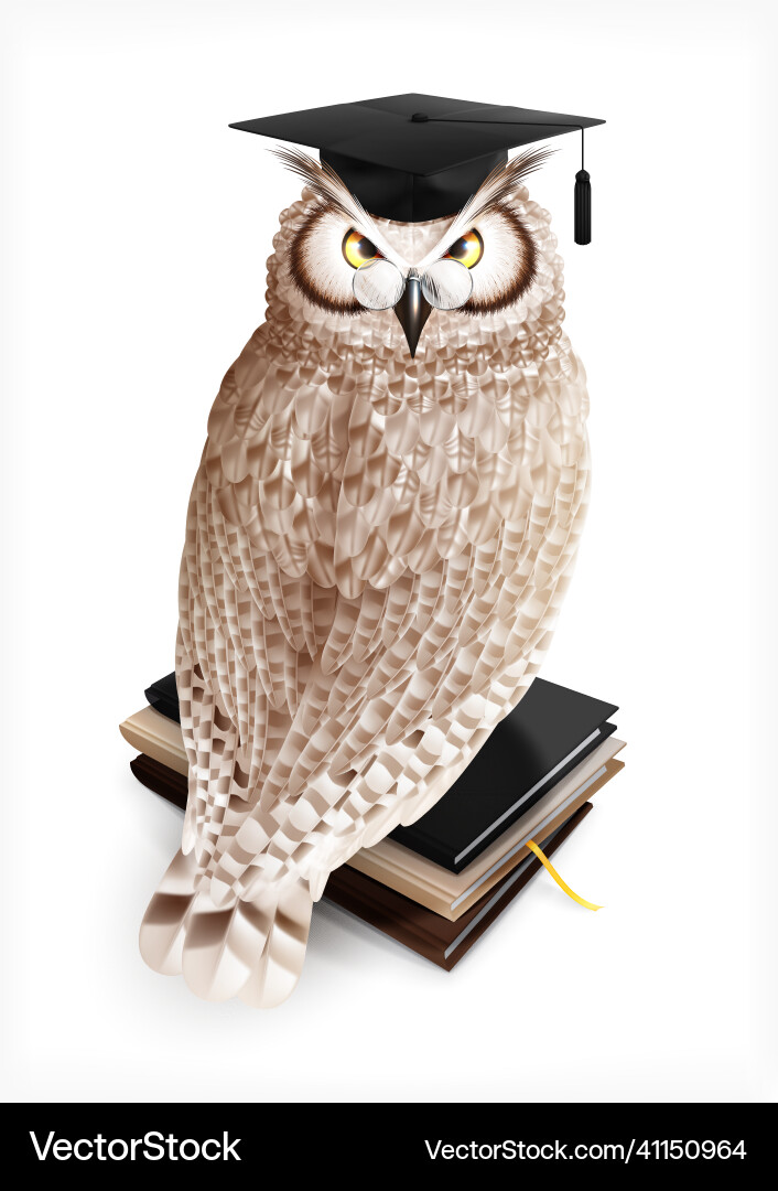 Academic owl realistic composition vector image