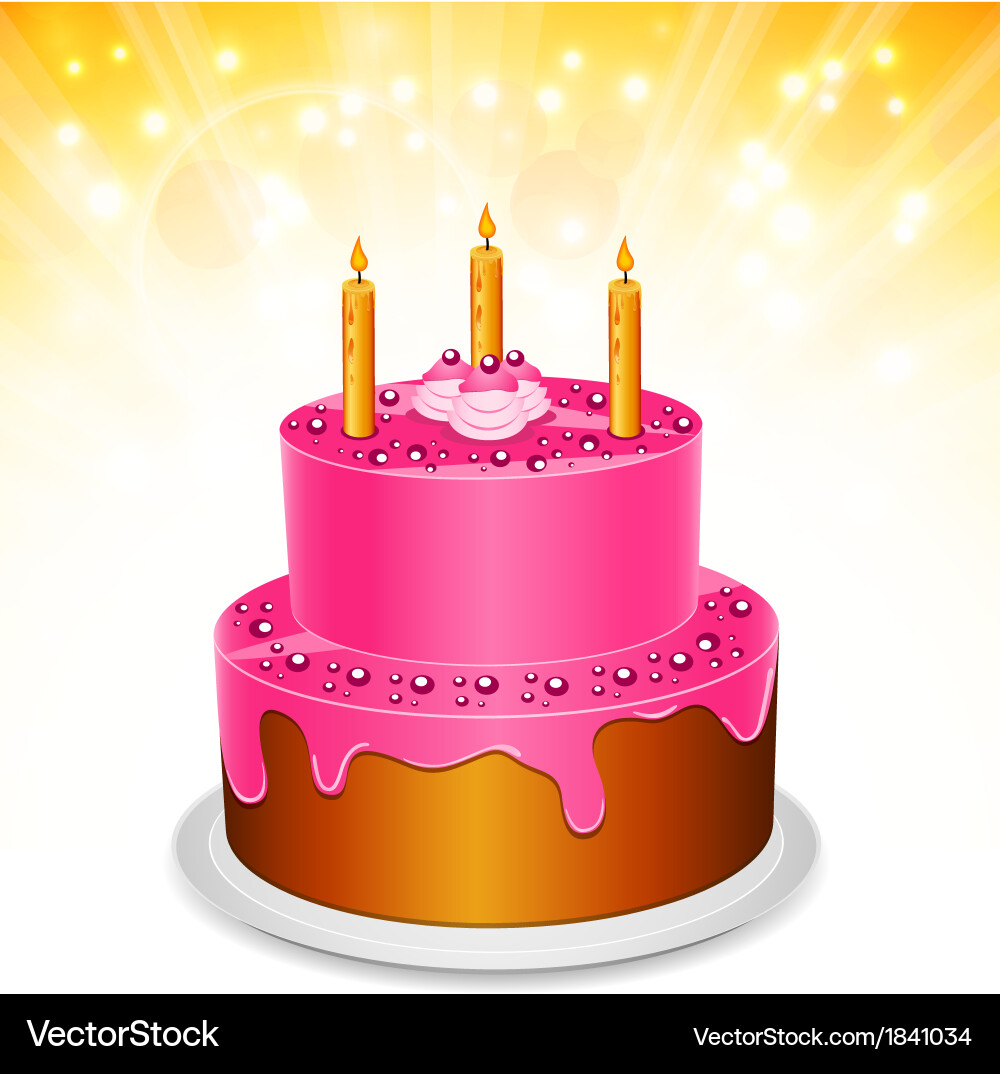 Cake vector image