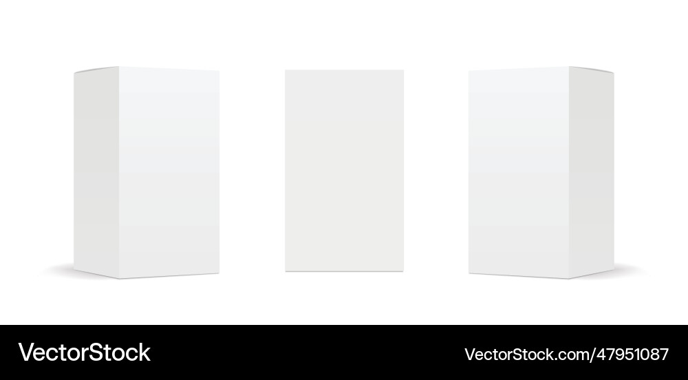 Blank cardboard package boxes mockup box set vector image