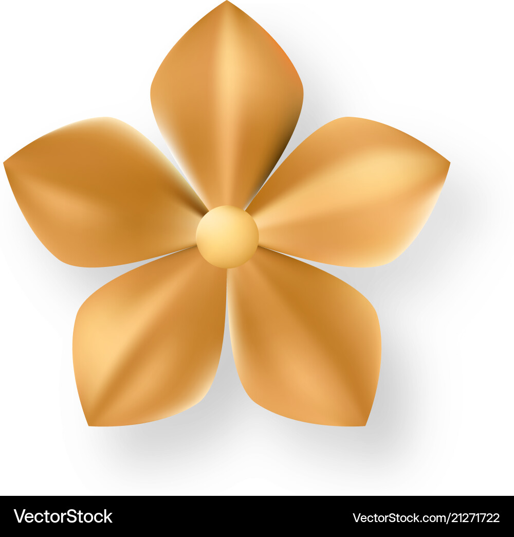 Golden metal pattern flower five petal vector image