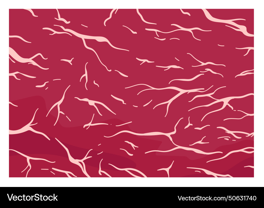 Red fresh marbled wagyu slice for cooking and aged vector image