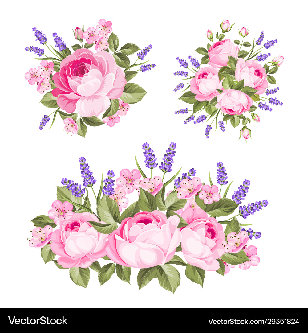 Set rose lavender bouquets for your vector image