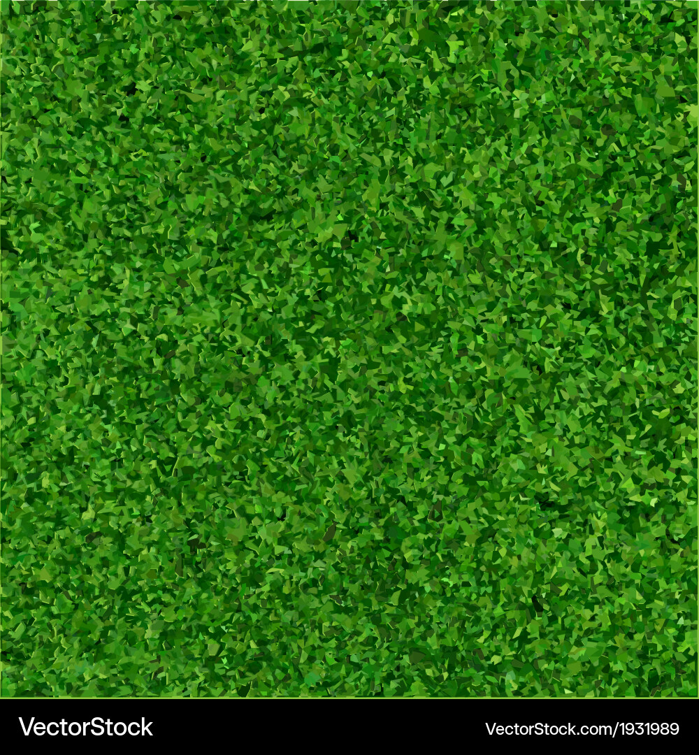 Green grass vector image