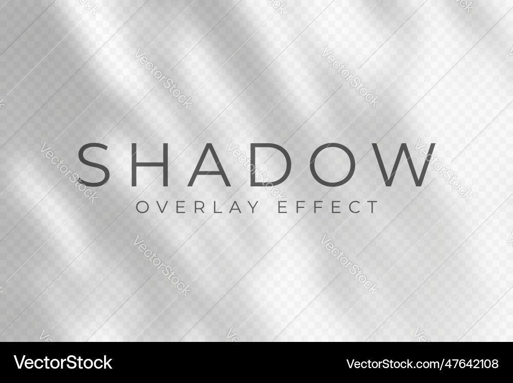 Shadow overlay effect transparent soft light vector image