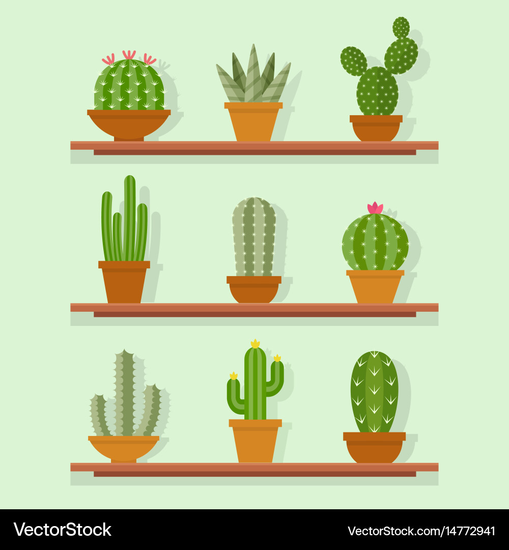 Cactus icon in a flat style vector image