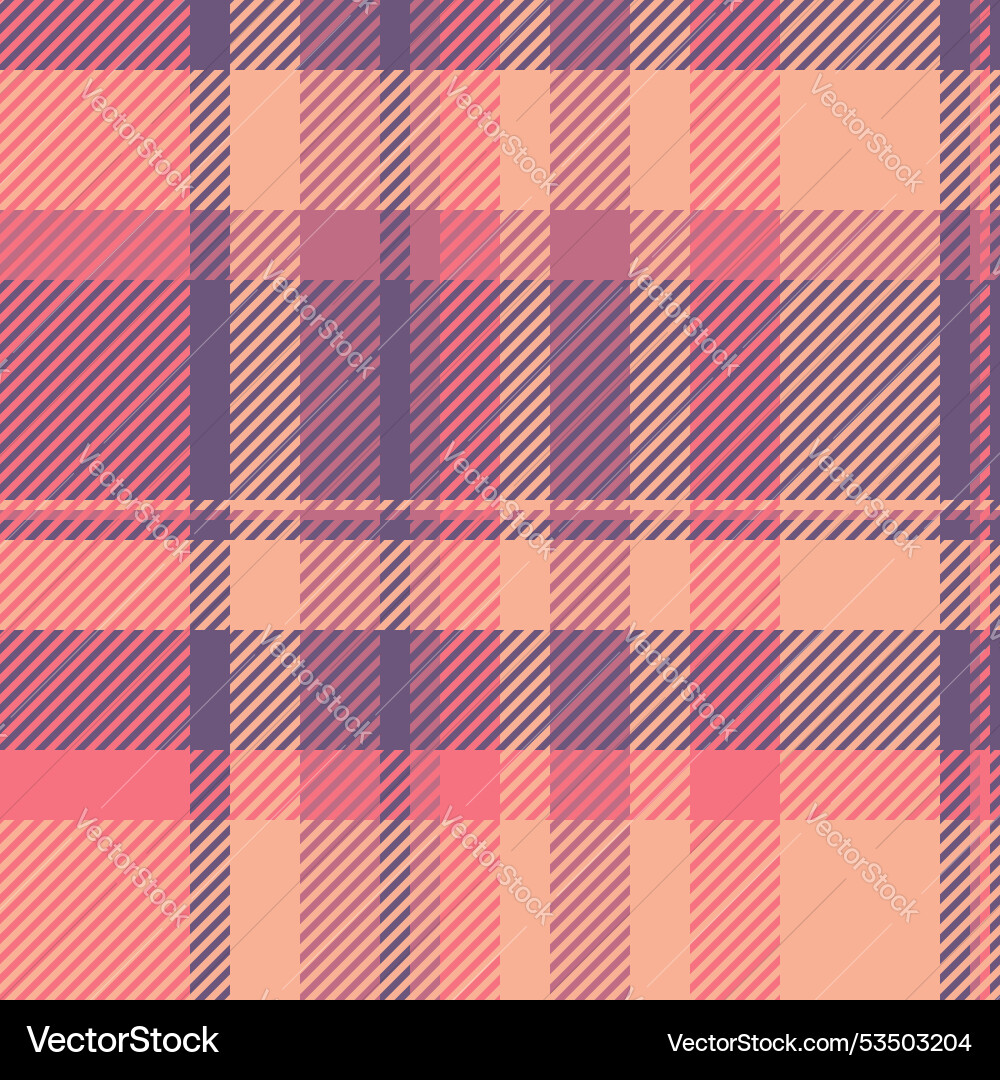 Cultural texture pattern tartan home textile vector image