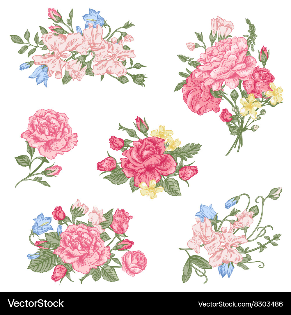 Set of floral design elements vector image