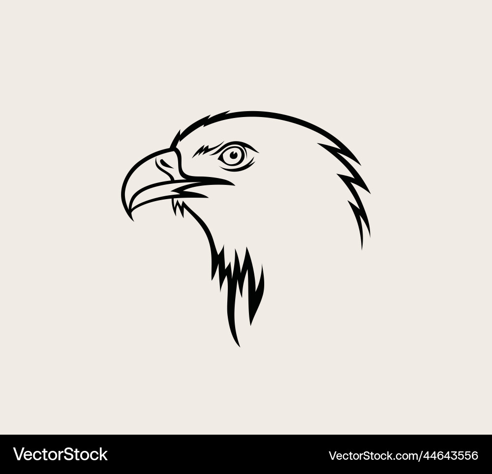 Eagle face logo vector image