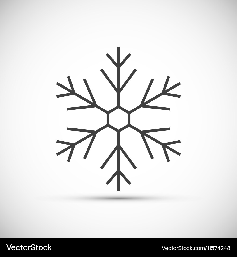 Snowflake icon vector image