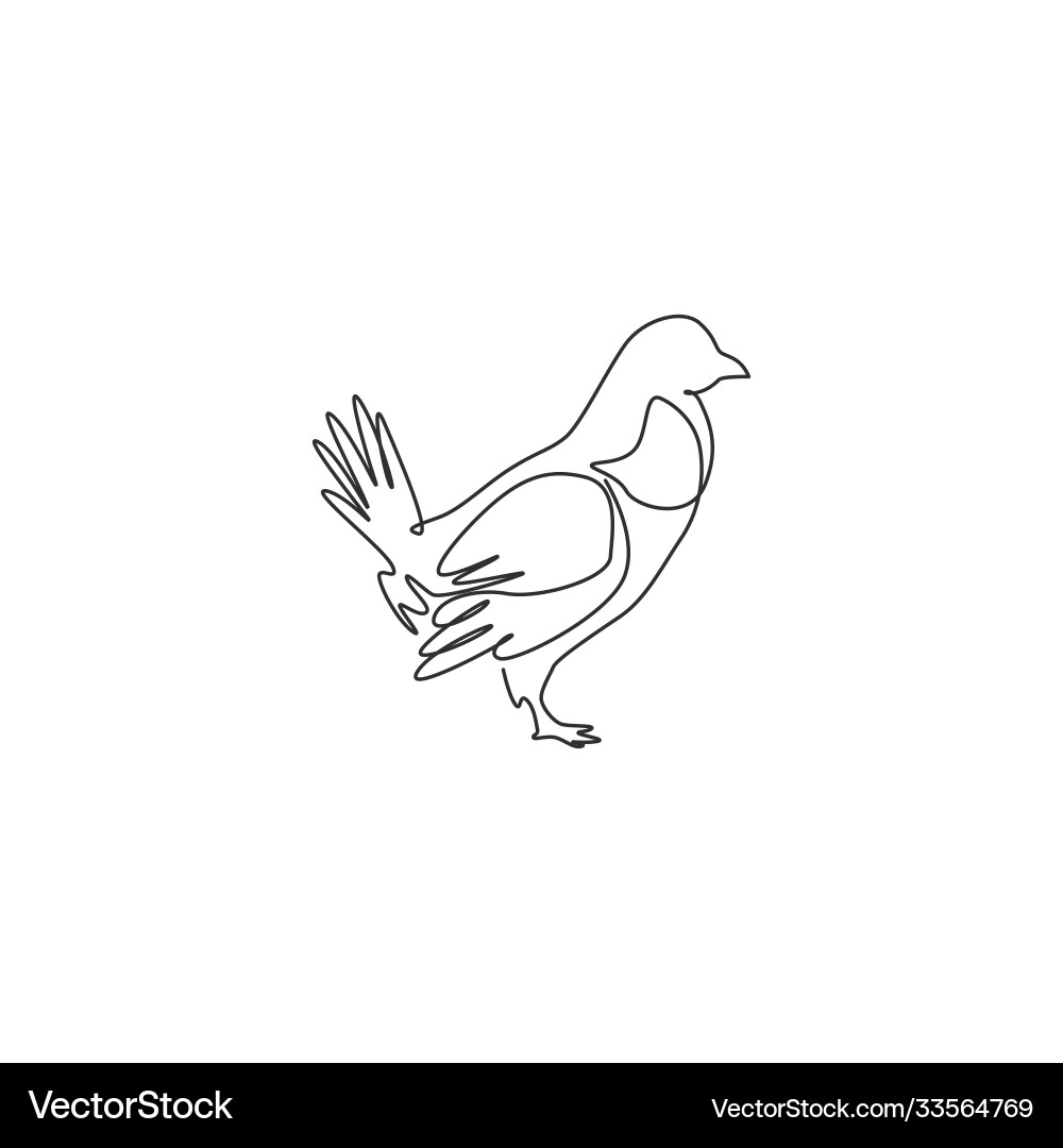 One continuous line drawing funny grouse bird vector image