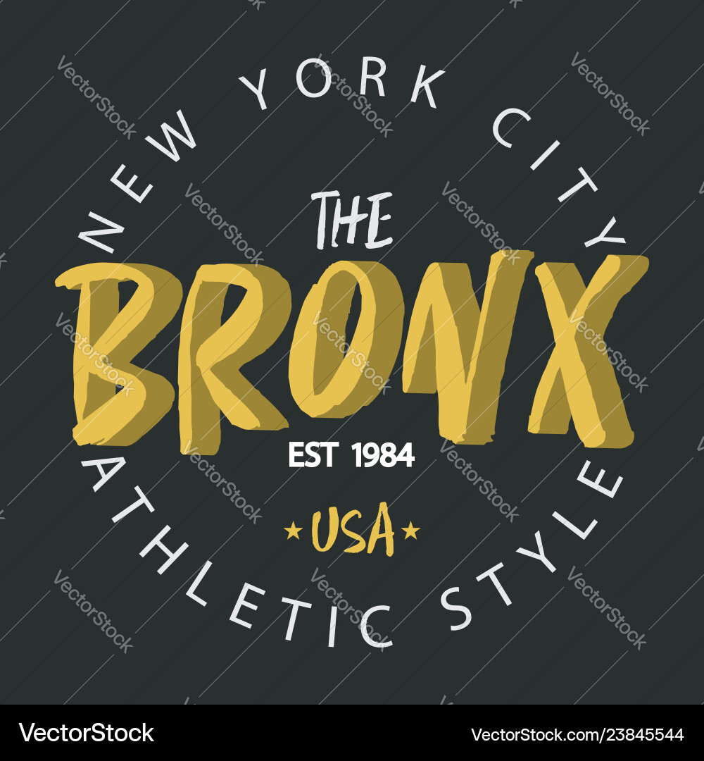 Bronx new york vector image