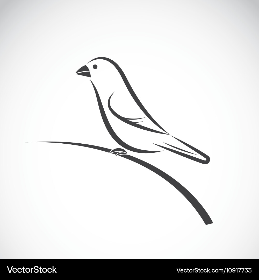 Bird icon vector image