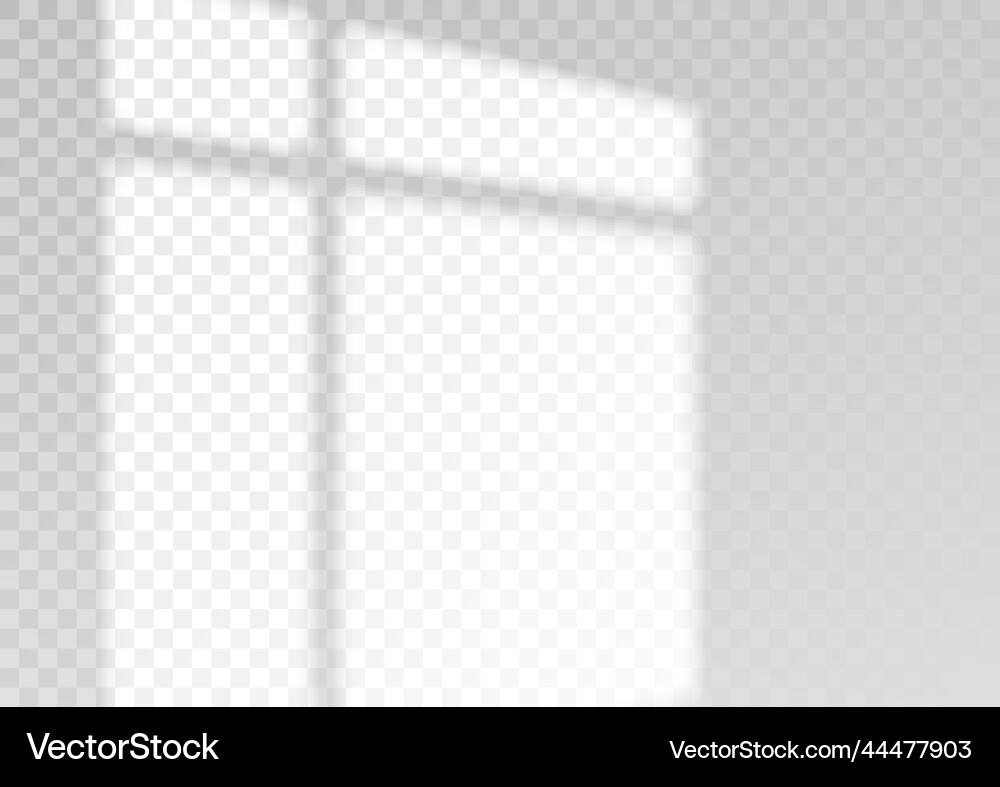 Transparent overlay window and blinds shadow vector image