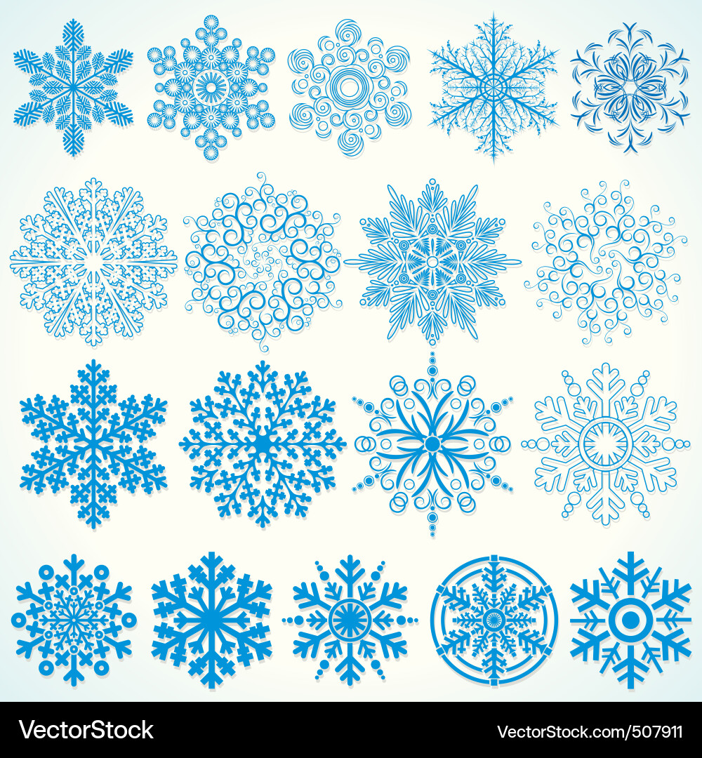 Beauty snowflakes vector image