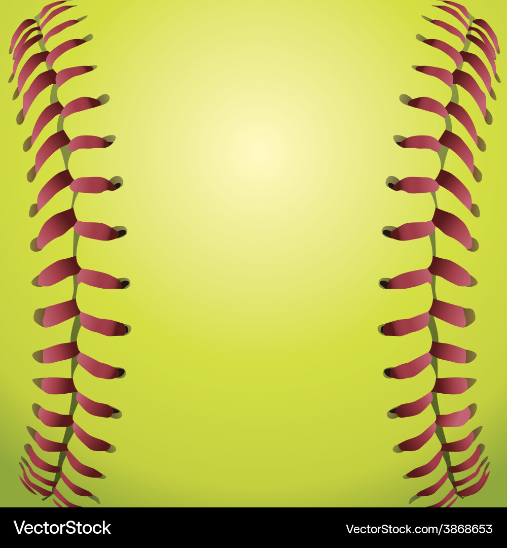 Closeup of a softball vector image