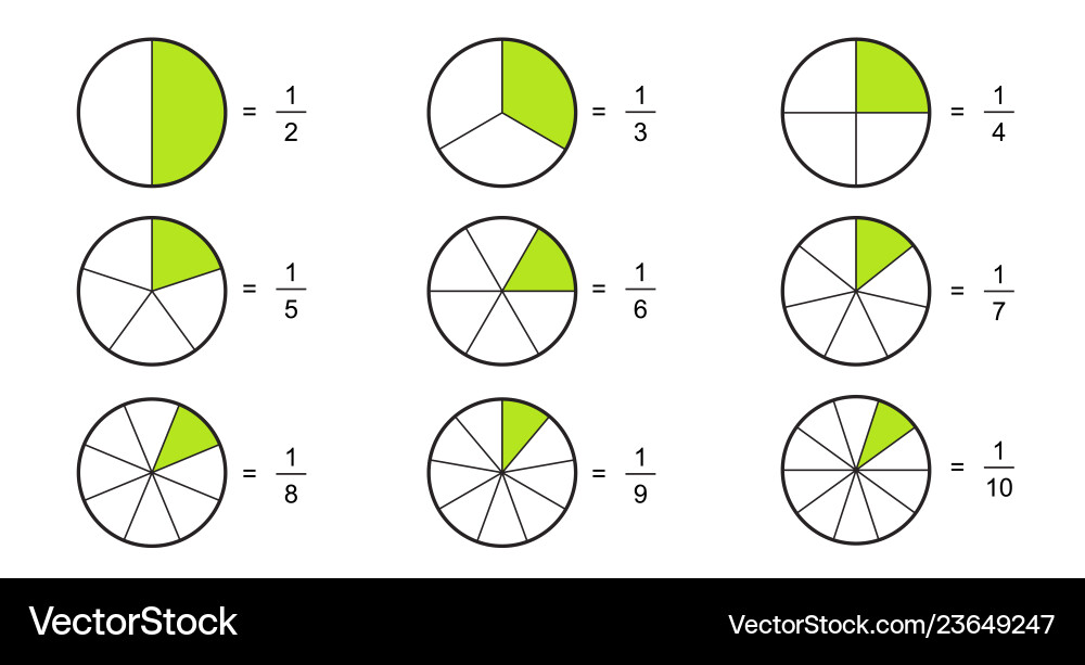 Fraction pie divided into slices fractions vector image