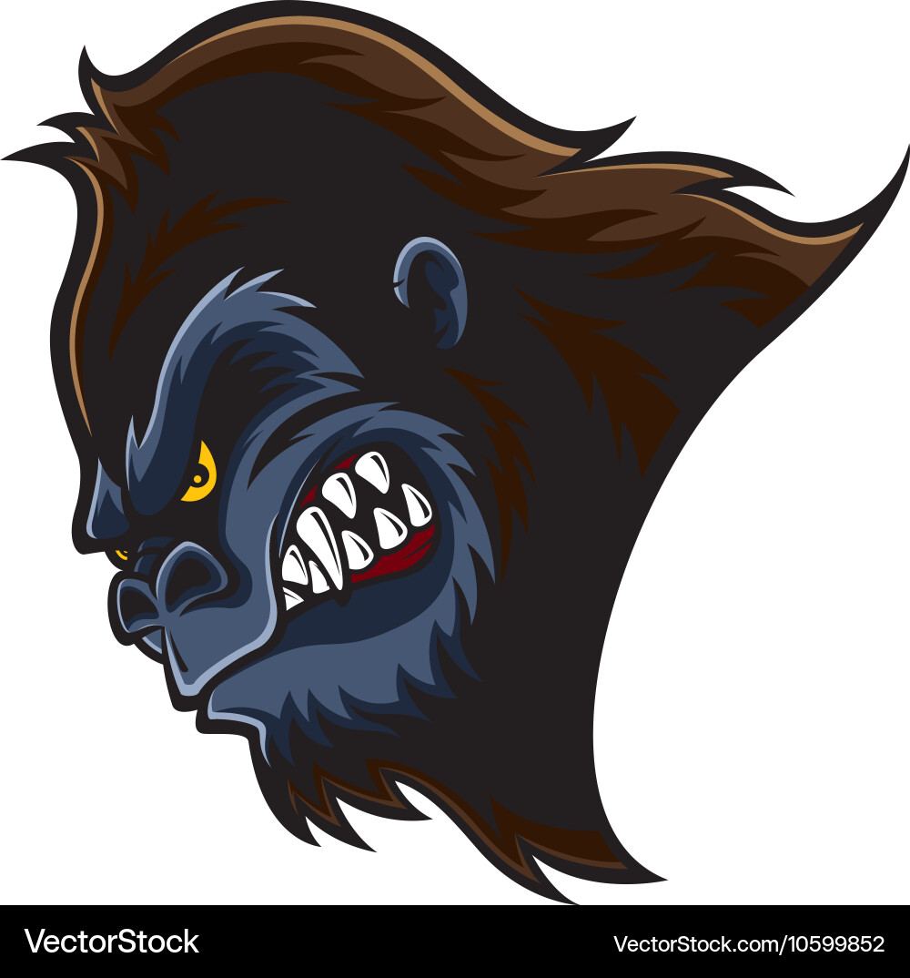 Angry gorilla head vector image