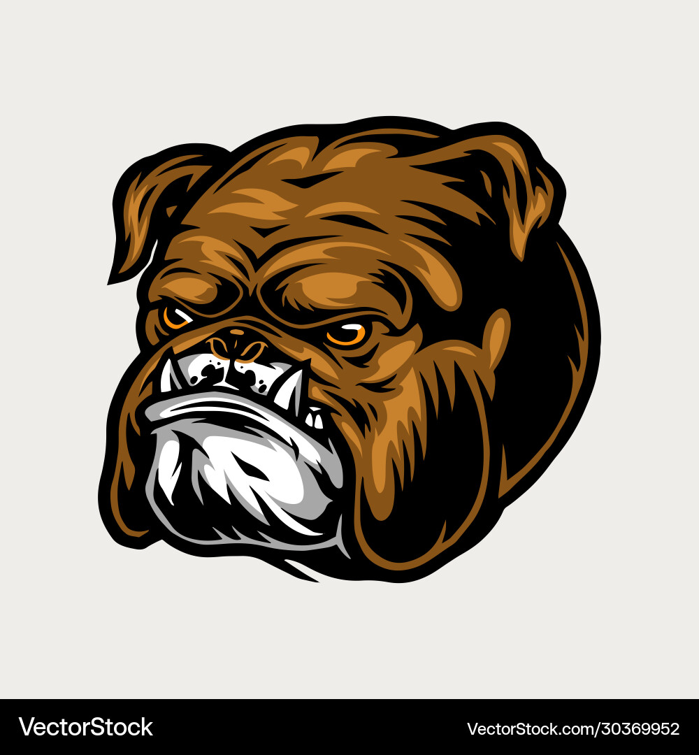 Colorful angry bulldog head vector image