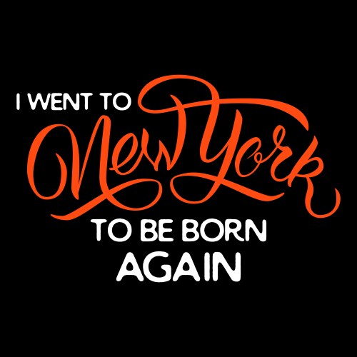 I went to new york vector image