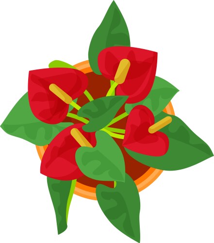 Top view of a vibrant home plant with red blooms vector image