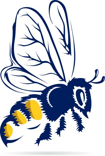 Honey bee flying vector image