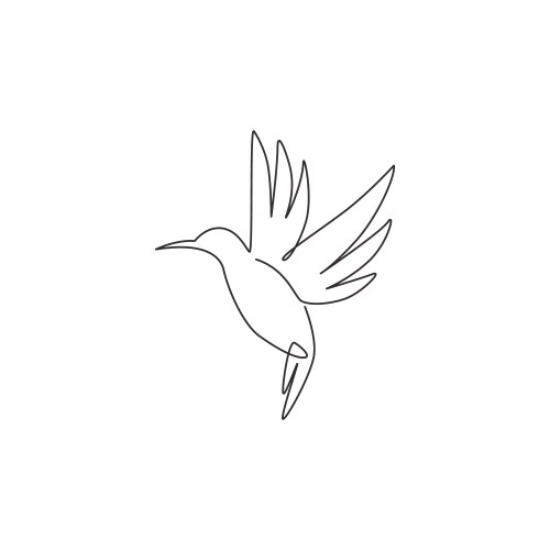 One continuous line drawing cute hummingbird vector image