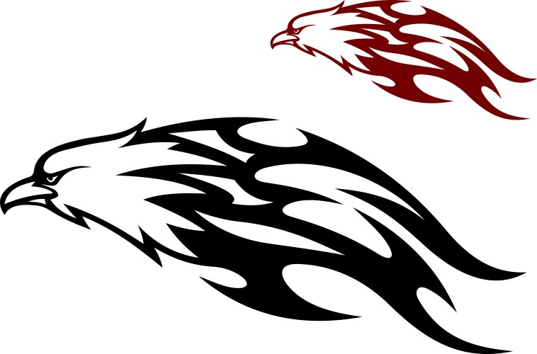 Flying eagle trailing flames vector image