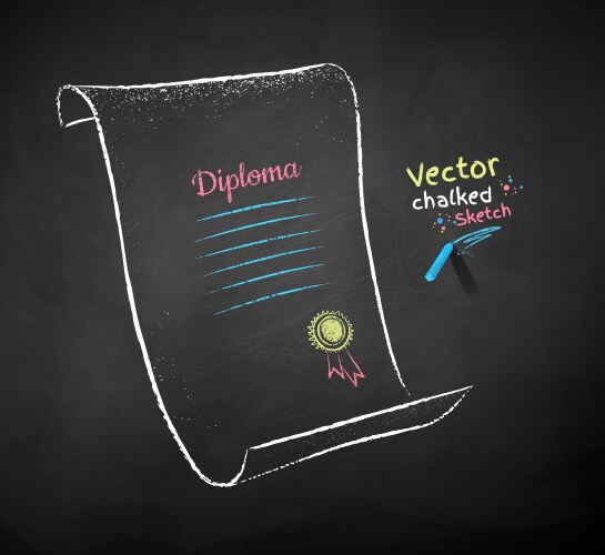 chalk drawn diploma scroll vector image