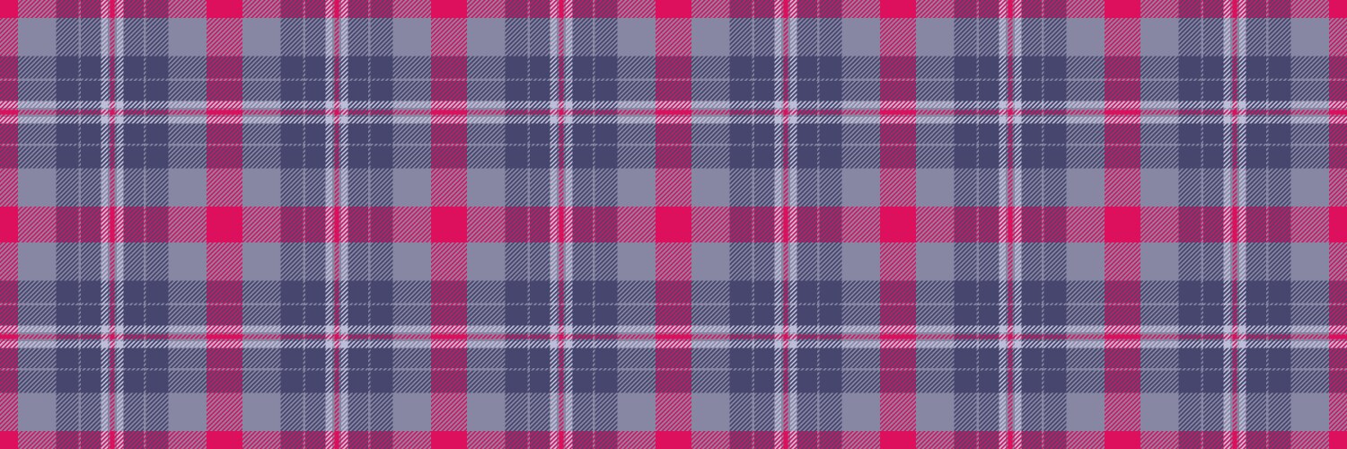 Graceful tartan fabric african background check vector image