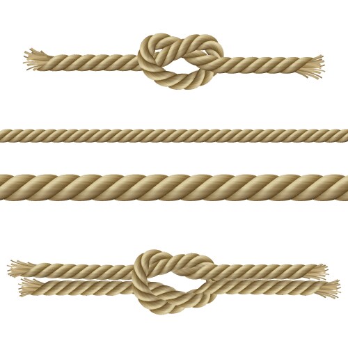 Ropes decorative set vector image