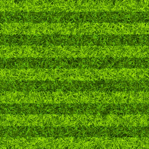 soccer playing field with green grass football vector image