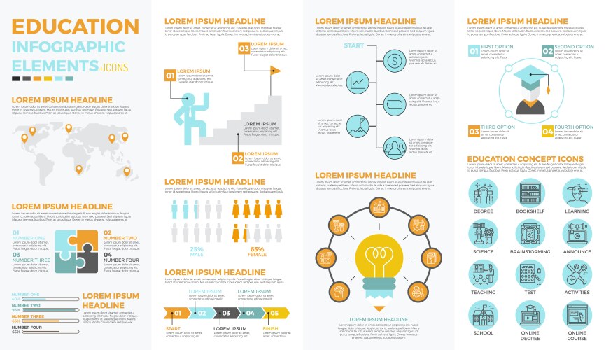 School education infographic elements vector image